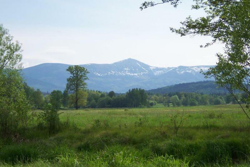 Karpnicka Struga W Dolinie Palacow I Ogrodow Jelenia Gora Dış mekan fotoğraf