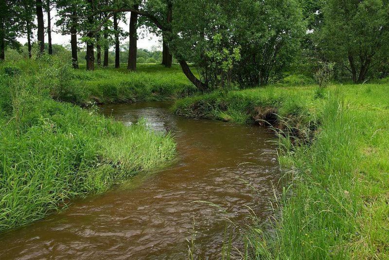 Karpnicka Struga W Dolinie Palacow I Ogrodow Jelenia Gora Dış mekan fotoğraf